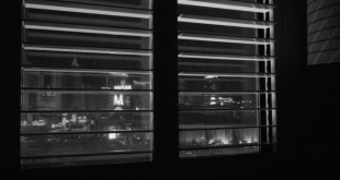roller blinds dubai
